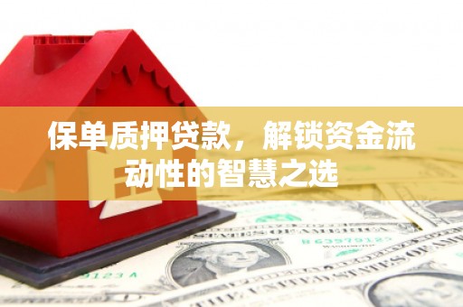 通山保单质押贷款，解锁资金流动性的智慧之选