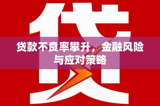 通山贷款不良率攀升，金融风险与应对策略