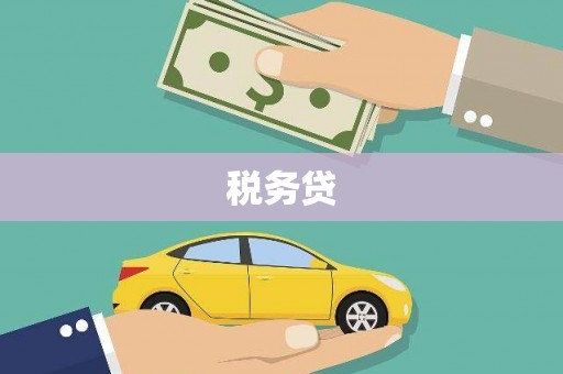 通山税务贷